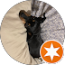 5 star towing service review in Livingston County MI